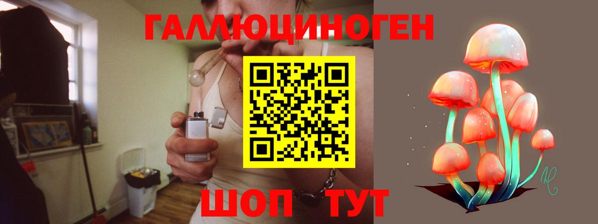Галлюциногенные грибы Psilocybe Троицк